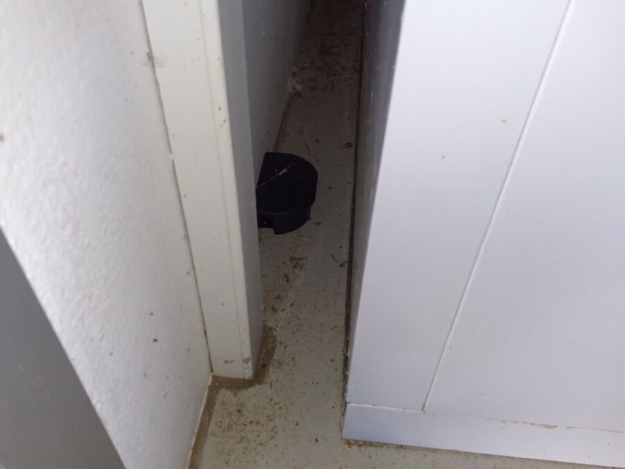 ratten_bekaempfung_ratten_vertreiben