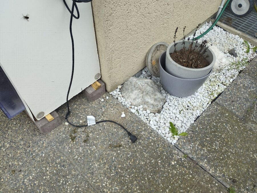 ratten_bekaempfung_ratten_vertreiben