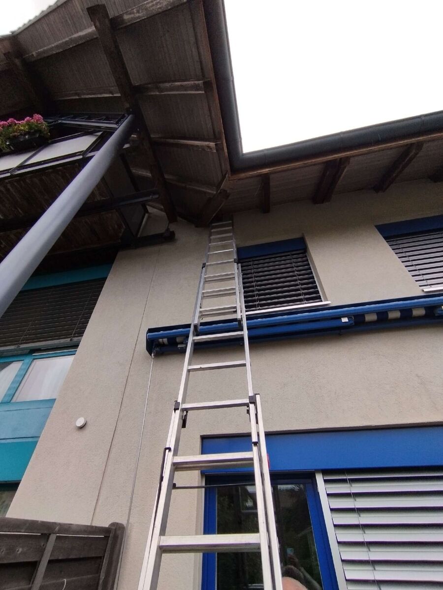 wespennest_entfernen