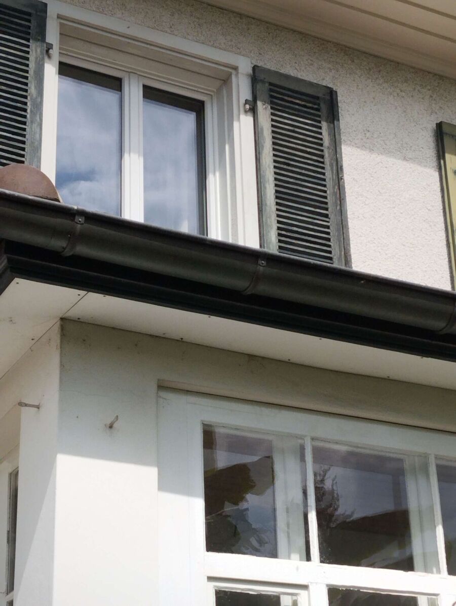 wespennest_entfernen