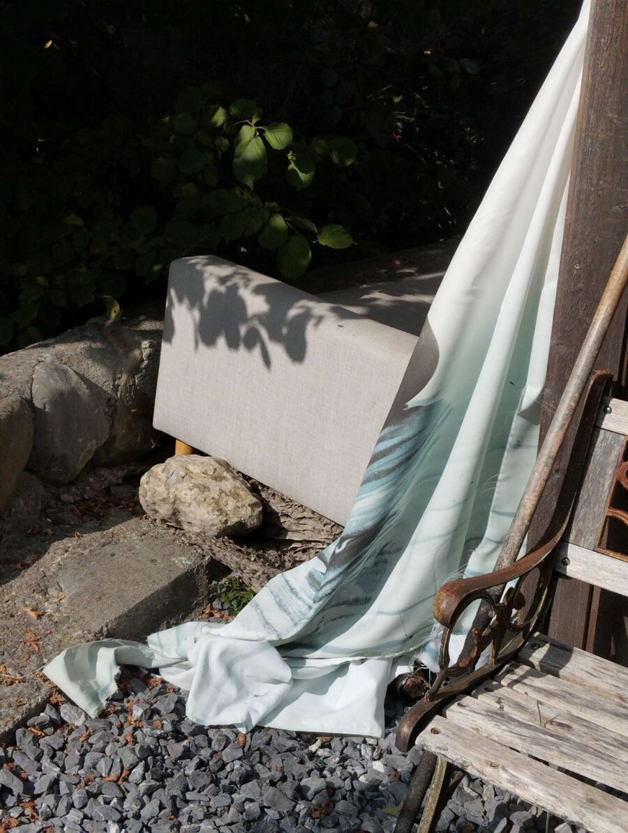 wespennest_entfernen