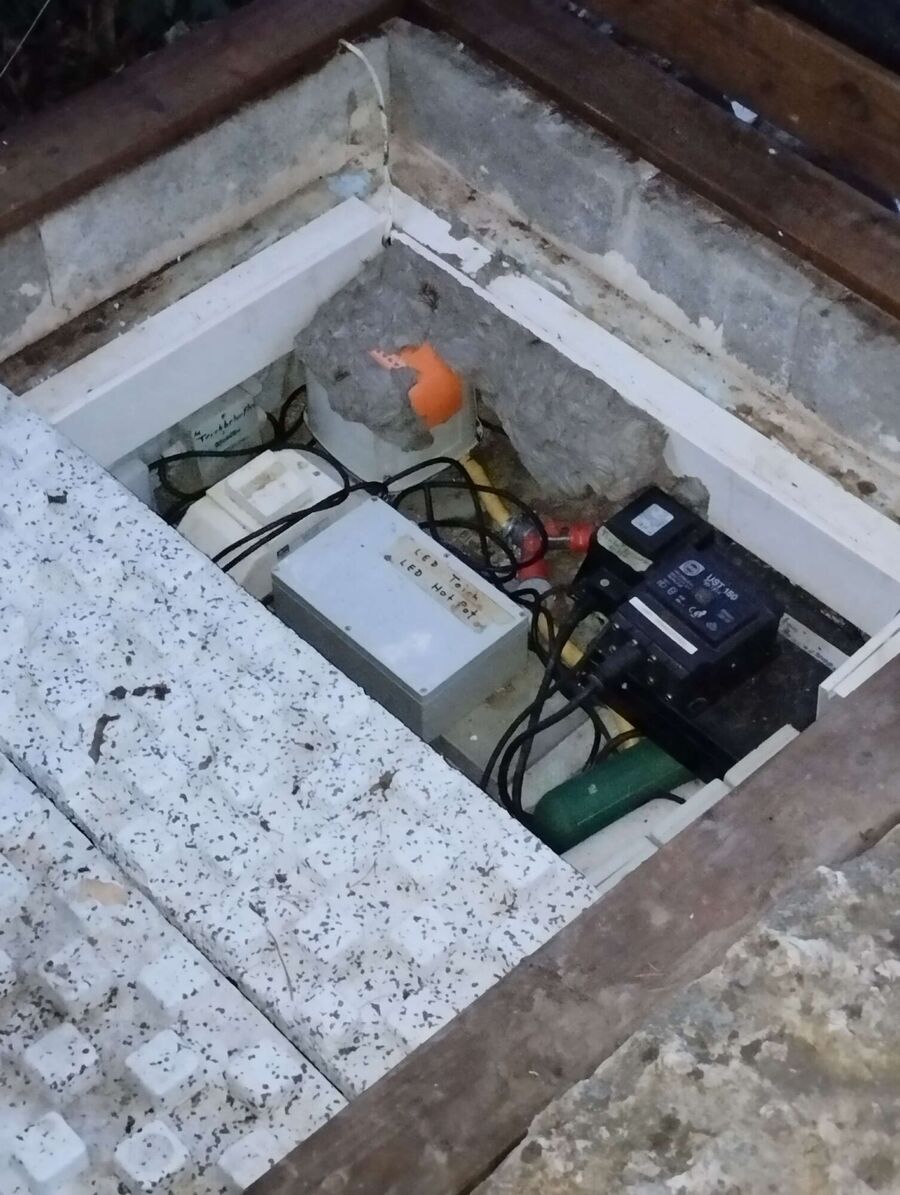 wespennest_entfernen