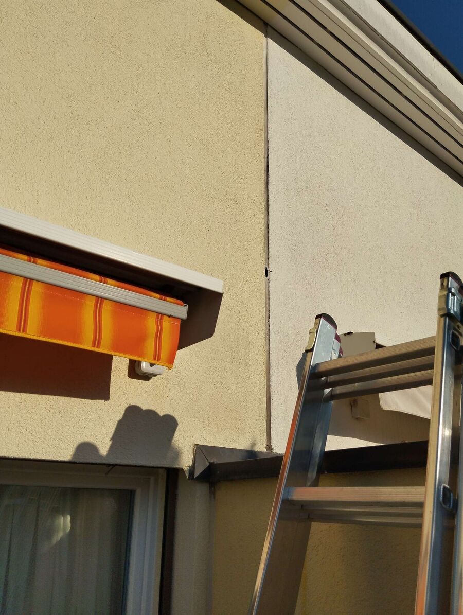 wespennest_entfernen